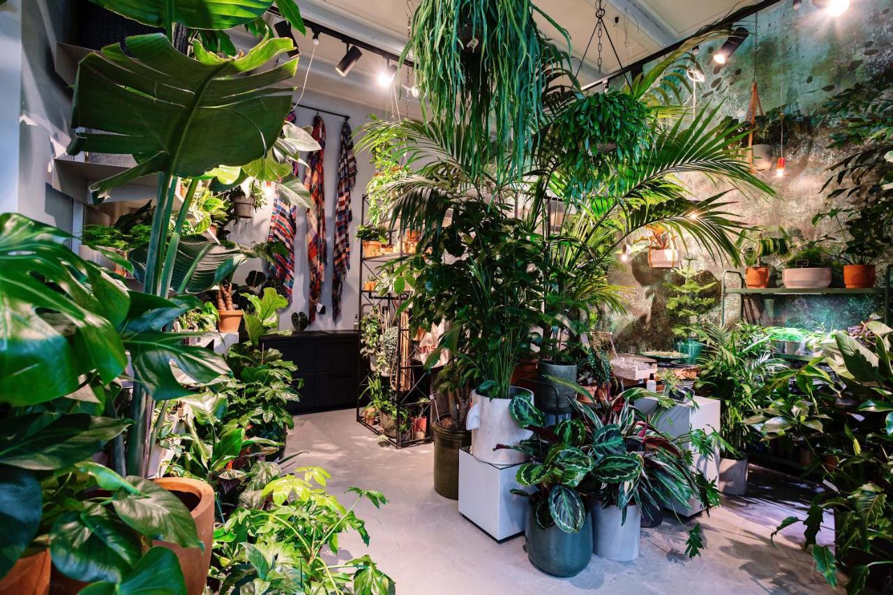 Daen'S Greenhouse Utrecht Luaran gambar
